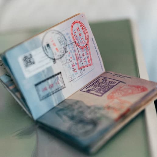 Visa success rate